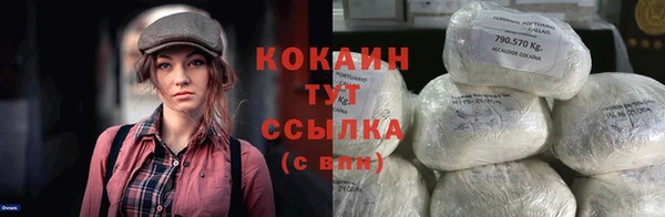 индика Наволоки