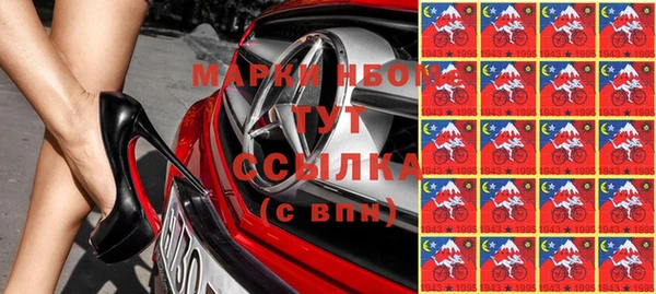 индика Наволоки