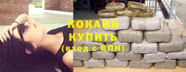 индика Наволоки