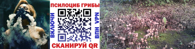 Купить где  Спас-Деменск  Галлюциногенные грибы мицелий 